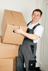 removal services muswell hill